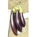 Patlıcan Tohumu Aydın Siyahı 55 - 25 G. (~ Takribi 3.250 Tohum)