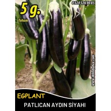 Patlıcan Tohumu Aydın Siyahı 55 - 5 G. (~ Takribi 650 Tohum)