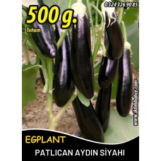 Patlıcan Tohumu Aydın Siyahı 55 - 500 G.