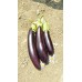 Patlıcan Tohumu Aydın Siyahı 55 - 5 G. (~ Takribi 650 Tohum)