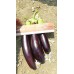 Patlıcan Tohumu Aydın Siyahı 55 - 5 G. (~ Takribi 650 Tohum)