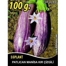 Patlıcan Tohumu Manisa (Kır) 100 g.