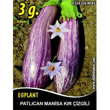 Patlıcan Tohumu Manisa (Kır) 3 G. (~ Takribi 400 Tohum)