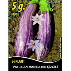 Patlıcan Tohumu Manisa (Kır) 5 g. (~ Takribi 650 Tohum)
