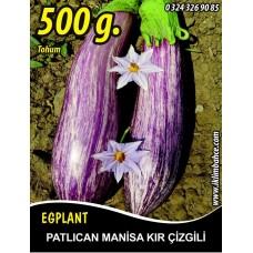 Patlıcan Tohumu Manisa (Kır) 500 g