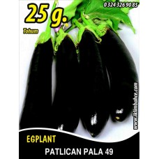 Patlıcan Tohumu Pala 49 - 25g (~ Takribi 3250 Tohum)