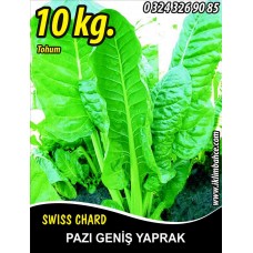 Pazı Tohumu ( Pezik ) - 10 Kg - Dökme - Yerli