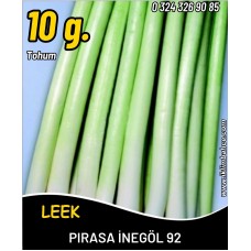 Pırasa Tohumu İnegöl 92 - 10 G (~ Takribi 2000 Tohum)