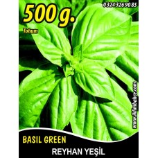 Reyhan Tohumu Fesleğen Yeşil Renk Tnk 500g