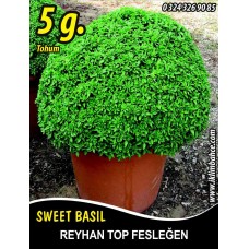 Reyhan Tohumu Top Fesleğen - 5 G. (~ Takribi 1750 Tohum)
