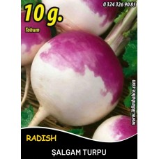 Şalgam Turpu Tohumu - 10 G (~ Takribi 600 Tohum)