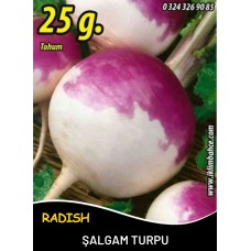 Şalgam Turpu Tohumu - 25 G. (~ Takribi 1500 Tohum) Şalgam Turpu Tohumu - 25 G. (~ Takribi 1500 Tohum)