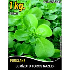 Semizotu Tohumu Toros Nazlısı - 1 Kg Semizotu Tohumu Toros Nazlısı - 1 Kg