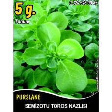 Semizotu Tohumu Toros Nazlısı - 5 G. (~ Takribi 1500 Tohum)