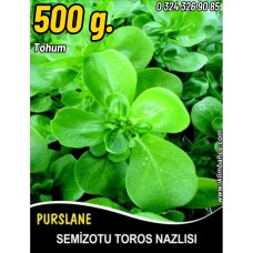 Semizotu Tohumu Toros Nazlısı - 500 G