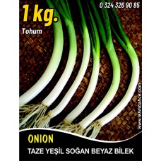 Soğan Tohumu Demet Yeşil - 1 Kg