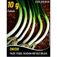 Soğan Tohumu Demet Yeşil - 10 G (~ Takribi 1800 Tohum)