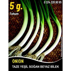 Soğan Tohumu Demet Yeşil - 5 G (~ Takribi 900 Tohum) Soğan Tohumu Demet Yeşil - 5 G (~ Takribi 900 Tohum)