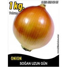 Soğan Tohumu Valenciana - 1 Kg