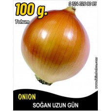 Soğan Tohumu Valenciana - 100G