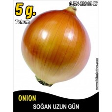Soğan Tohumu Valenciana - 5 G. (~ Takribi 900 Tohum) Soğan Tohumu Valenciana - 5 G. (~ Takribi 900 Tohum)