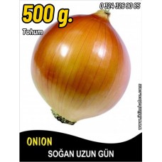 Soğan Tohumu Valenciana - 500G