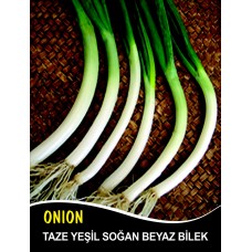 Soğan Tohumu Yeşil Demet Tnk 100G Soğan Tohumu Yeşil Demet Tnk 100G