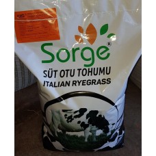 SORGE Süt Otu Tohumu REİS Italian Ryegrass 10 KG 