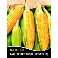 Tatlı Mısır Tohumu Kompozit Tatlı Şeker Pk 10 G (~ Takribi 28 Tohum)