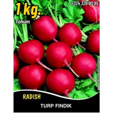 Turp Tohumu Fındık Cherry Belle - 1 Kg