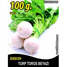 Turp Tohumu Toros Beyazı - 100G