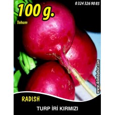 Turp Tohumu Toros Kırmızısı - 100G
