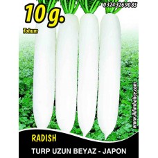Turp Tohumu Uzun Beyaz (Japon) 10 G. (~ Takribi 600 Tohum) Turp Tohumu Uzun Beyaz (Japon) 10 G. (~ Takribi 600 Tohum)