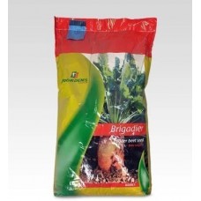 YEMLİK PANCAR TOHUMU HAYVAN PANCARI BRIGADIER - 10 KG